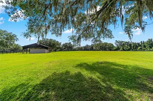 14650 NW 160th Ave, Williston, FL 32696 - Photo 48