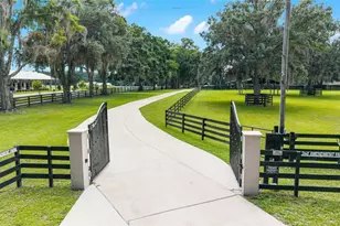 14650 NW 160th Ave, Williston, FL 32696 - Photo 62