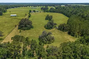 16490 NW 122nd Terrace, Reddick, FL 32686 - Photo 24