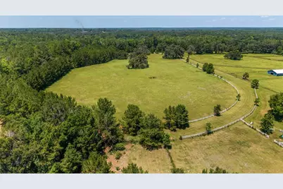 16490 NW 122 Terrace, Reddick, FL 32686 - Photo 10