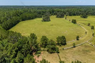 16490 NW 122nd Terrace, Reddick, FL 32686 - Photo 10