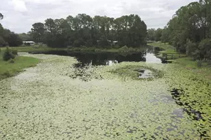 3544 E Withlacoochee Trail, Dunnellon, FL 34434 - Photo 42