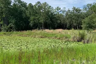 3544 E Withlacoochee Trail, Dunnellon, FL 34434 - Photo 30