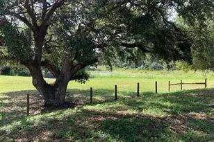 3544 E Withlacoochee Trail, Dunnellon, FL 34434 - Photo 36