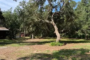 3544 E Withlacoochee Trail, Dunnellon, FL 34434 - Photo 24