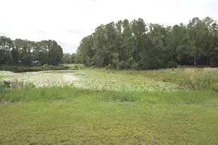 3544 E Withlacoochee Trail, Dunnellon, FL 34434 - Photo 40