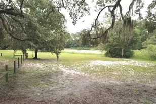 3544 E Withlacoochee Trail, Dunnellon, FL 34434 - Photo 38