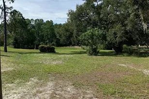 3544 E Withlacoochee Trail, Dunnellon, FL 34434 - Photo 28