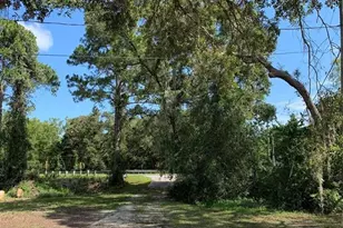 3544 E Withlacoochee Trail, Dunnellon, FL 34434 - Photo 22