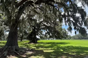 15795 NW 86th Ave, Reddick, FL 32686 - Photo 92