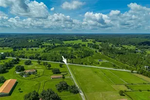 15795 NW 86th Ave, Reddick, FL 32686 - Photo 18