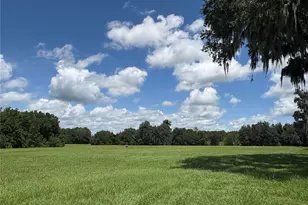 15795 NW 86th Ave, Reddick, FL 32686 - Photo 90