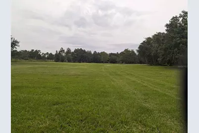 11151 SE 30th Street, Morriston, FL 32668 - Photo 6