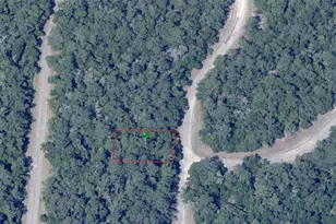 870 E Panama Dr, Citrus Springs, FL 34434 - Photo 1