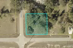 4001 E 20th St, Alva, FL 33920 - Photo 1