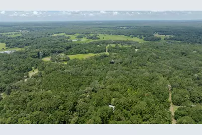 8530 NE 160th Avenue, Williston, FL 32696 - Photo 66