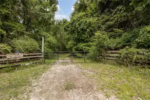 8530 NE 160th Ave, Williston, FL 32696 - Photo 1