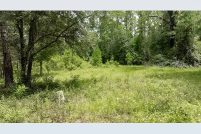 8530 NE 160th Avenue, Williston, FL 32696 - Photo 62