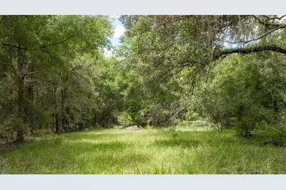 8530 NE 160th Avenue, Williston, FL 32696 - Photo 64