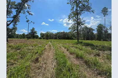 7158 N Lecanto Highway, Hernando, FL 34442 - Photo 30
