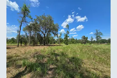 7158 N Lecanto Highway, Hernando, FL 34442 - Photo 42