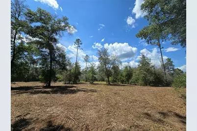 7158 N Lecanto Highway, Hernando, FL 34442 - Photo 6