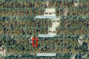 Tbd NW Banyan Ln Lot 14, Dunnellon, FL 34431 - Photo 1