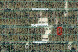 Tbd NW Geranium Ave Lot 23, Dunnellon, FL 34431 - Photo 1