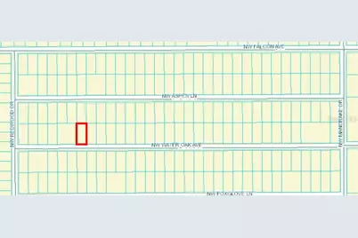Tbd NW Water Oak, Lot 60, Dunnellon, FL 34431 - Photo 2