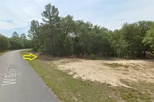 1426 W Delores Dr, Citrus Springs, FL 34434 - Photo 1