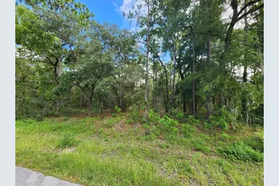 579 W Olympia Street, Hernando, FL 34442 - Photo 2