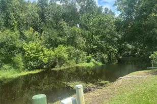 6421 Remus Dr, New Port Richey, FL 34653 - Photo 34