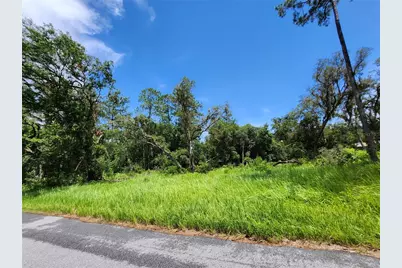Tbd Oak Lane Way, Ocala, FL 34472 - Photo 2