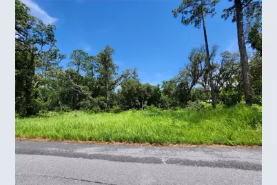 Tbd Oak Lane Way, Ocala, FL 34472 - Photo 1