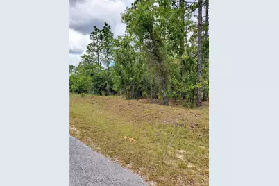 10715 N Academy Drive, Citrus Springs, FL 34434 - Photo 1