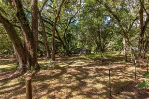 17840 NE 45th Avenue Rd, Citra, FL 32113 - Photo 54