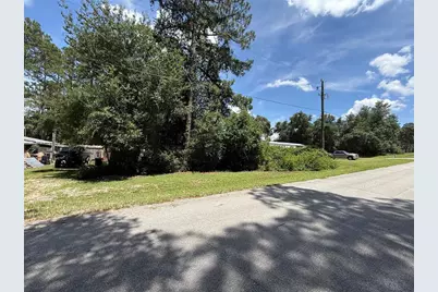 Tbd SE 184th Terrace, Ocklawaha, FL 32179 - Photo 2