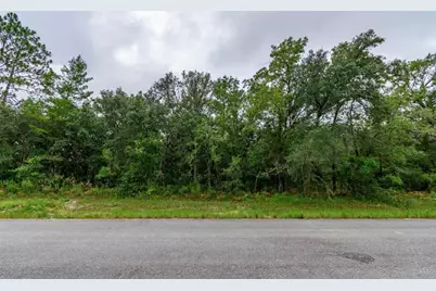 Tbd SW 147th Loop, Ocala, FL 34473 - Photo 4