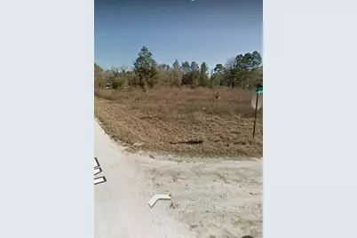 Ne 135th Court, Williston, FL 32696 - Photo 8