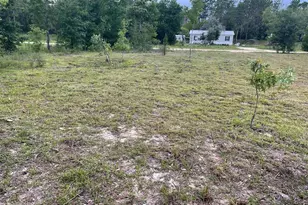 NE 135th Ct, Williston, FL 32696 - Photo 1