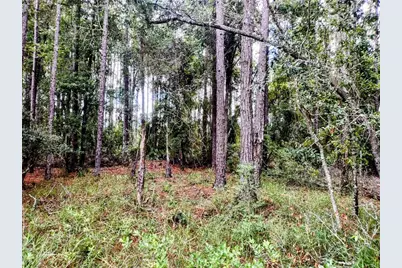 4651 NE 108th Place, Chiefland, FL 32626 - Photo 26