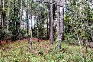 4651 NE 108th Pl, Chiefland, FL 32626 - Photo 26