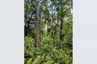 4651 NE 108th Place, Chiefland, FL 32626 - Photo 32