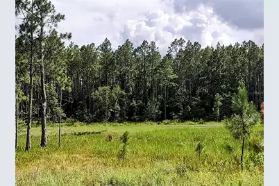4651 NE 108th Place, Chiefland, FL 32626 - Photo 20