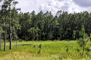 4651 NE 108th Pl, Chiefland, FL 32626 - Photo 20