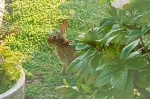 15858 SW 11th Court Rd, Ocala, FL 34473 - Photo 40