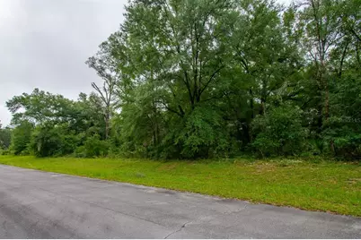 Tbd SW 138th St, Ocala, FL 34473 - Photo 4