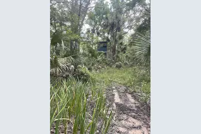 0000 SW County Road 347, Chiefland, FL 32626 - Photo 10
