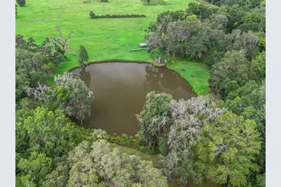 12651 W Highway 318, Williston, FL 32696 - Photo 44