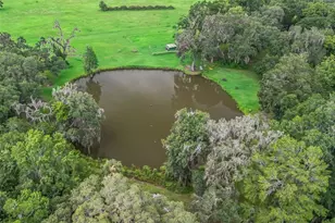 12651 W Hwy 318, Williston, FL 32696 - Photo 44